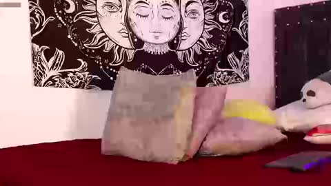 Raven online show from March 13, 2026, 11:11 pm