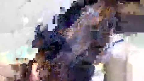 Snapshot of ravenblissx chatting on June 9, 2026, 3:56 pm ravenblissx online show from June 9, 2026, 3:56 pm