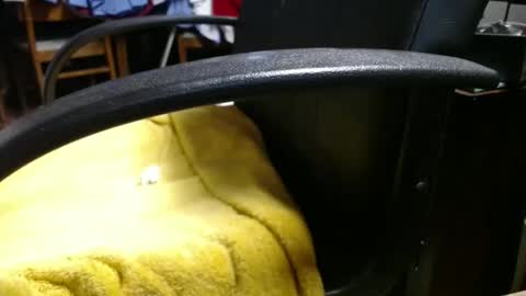 Ray online show from April 17, 2026, 11:35 am