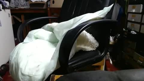 Snapshot of raysmith77777777 chatting on April 29, 2026, 11:03 am Ray online show from April 29, 2026, 11:03 am
