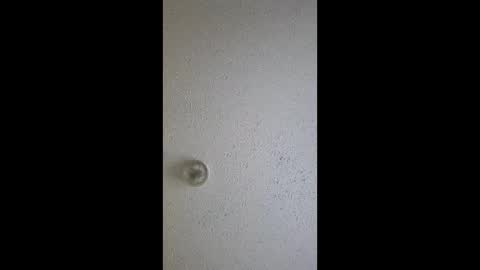 razalgirls online show from March 3, 2026, 9:21 pm