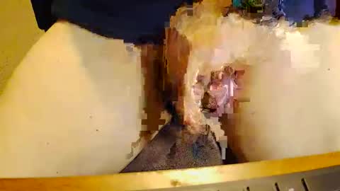 Snapshot of rb69er905364 chatting on November 17, 2025, 10:04 pm rb69er905364 online show from November 17, 2025, 10:04 pm