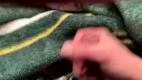 Snapshot of realbigload77 chatting on February 24, 2026, 4:32 am realbigload77 online show from February 24, 2026, 4:32 am