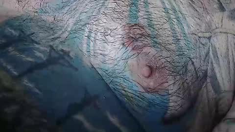 realrubpirate online show from March 13, 2026, 9:05 am