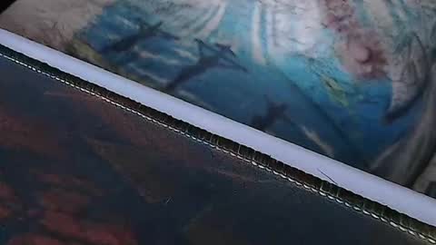 realrubpirate online show from April 1, 2026, 8:04 am