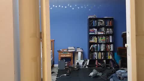 rebelstarlight online show from January 12, 2026, 8:52 am