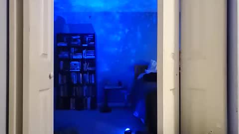 rebelstarlight online show from February 16, 2026, 10:00 am