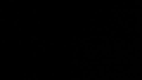 Neta online show from October 24, 2025, 12:41 am