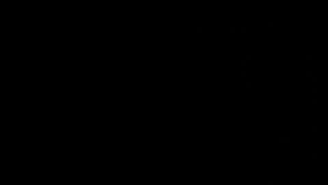 Neta online show from October 25, 2025, 1:13 am