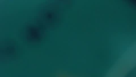 Lupe online show from February 20, 2025, 9:55 am