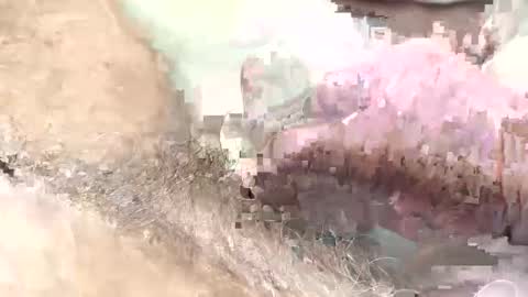 Snapshot of redhotslovesex chatting on February 5, 2025, 10:51 am redhotslovesex online show from February 5, 2025, 10:51 am