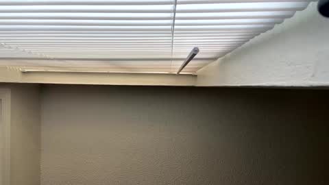 Snapshot of redsoilclay chatting on September 27, 2025, 10:48 pm redsoilclay online show from September 27, 2025, 10:48 pm