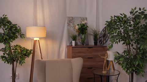 Snapshot of refined_style chatting on December 19, 2024, 11:25 pm JessyinCherri yang online show from December 19, 2024, 11:25 pm