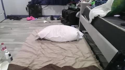 Snapshot of remshotdt chatting on February 24, 2025, 4:26 pm remshotdt online show from February 24, 2025, 4:26 pm