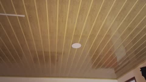 Snapshot of renaxi_smith chatting on December 20, 2025, 7:32 pm renaxi_smith online show from December 20, 2025, 7:32 pm