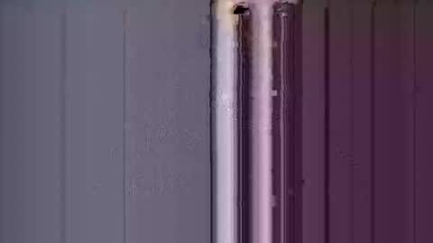 ReneIce online show from January 15, 2026, 7:06 pm