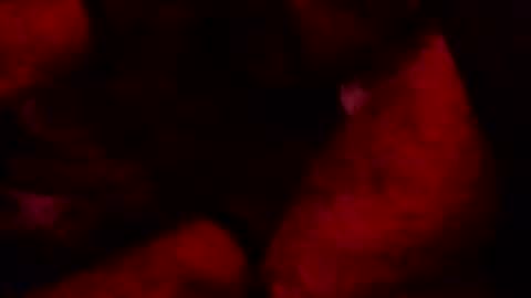 renuetto online show from October 13, 2025, 5:40 am