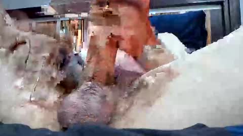 Rexwanker4everyone online show from March 6, 2025, 2:09 am