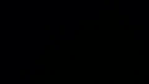 Tina online show from January 31, 2026, 10:08 pm