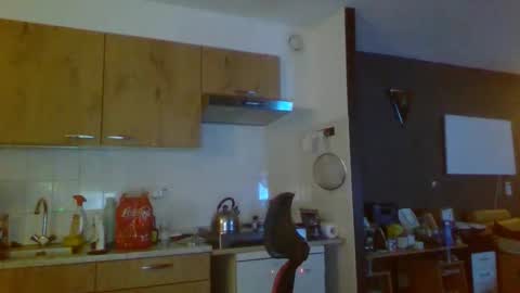 rikkerd55 online show from January 5, 2026, 5:27 pm