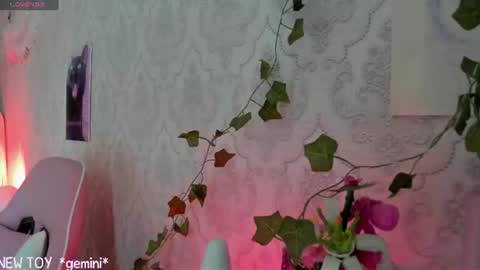 My name is Riley Like my broadcast pls 3 online show from July 26, 2026, 7:26 am
