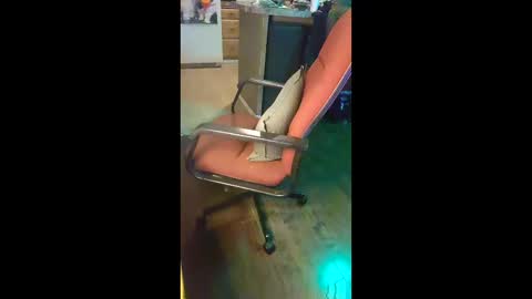 ripchoo online show from January 9, 2026, 1:41 am