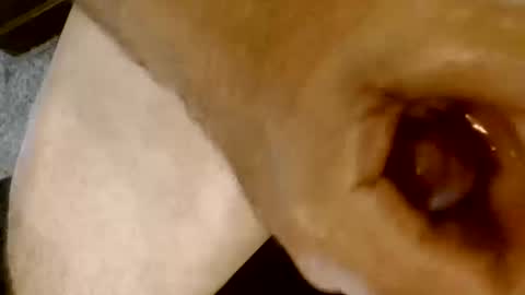 risingphoenix23 online show from October 13, 2025, 9:26 pm