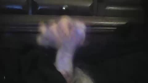 rlpl online show from February 23, 2026, 6:05 pm