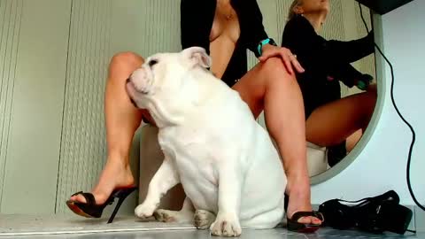 Sasha online show from April 14, 2026, 7:14 am