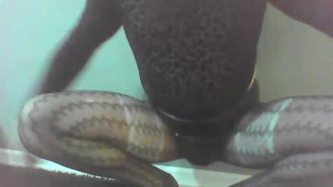 Snapshot of roberttocumcum chatting on February 23, 2026, 12:30 am roberttocumcum online show from February 23, 2026, 12:30 am