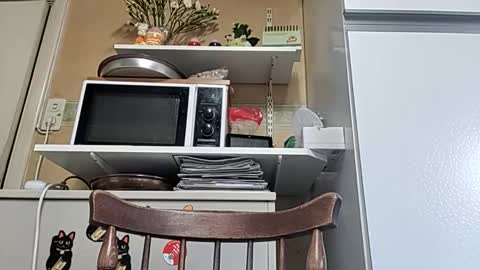 robke1966 online show from April 6, 2026, 5:52 am