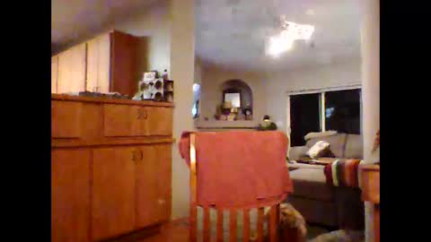 Snapshot of robo0000 chatting on November 20, 2025, 1:06 am robo0000 online show from November 20, 2025, 1:06 am