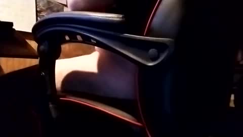 Robo Nuts online show from November 20, 2025, 6:35 am