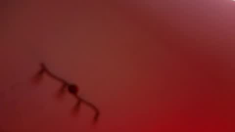 rochelle_dolly online show from April 10, 2026, 8:35 pm