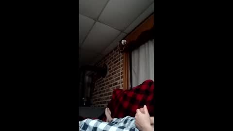 rodgerfye2 online show from April 13, 2026, 8:31 am