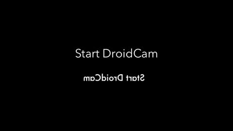 rojobob online show from November 4, 2025, 1:05 am