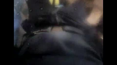 Snapshot of rollino83 chatting on November 6, 2025, 10:38 am rollino83 online show from November 6, 2025, 10:38 am