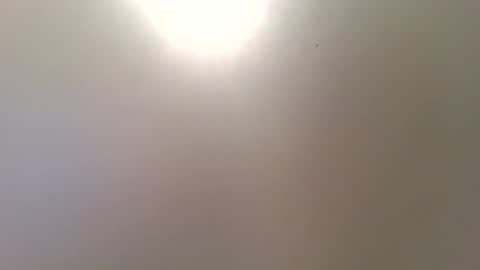 Trinked online show from December 16, 2025, 10:31 am