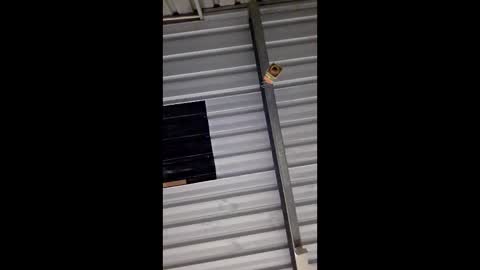 Snapshot of ronabater chatting on January 11, 2026, 8:36 pm ronabater online show from January 11, 2026, 8:36 pm