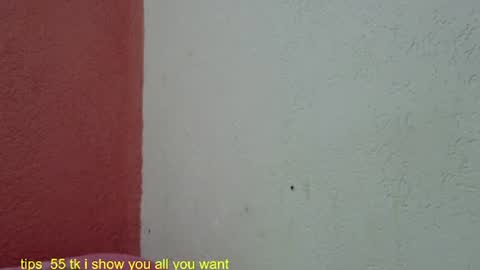 Snapshot of ronnispoto chatting on January 27, 2025, 9:22 pm ronny online show from January 27, 2025, 9:22 pm