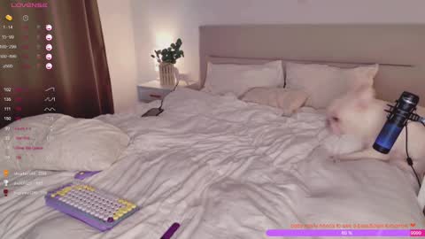 Rose    online show from February 28, 2025, 10:09 am