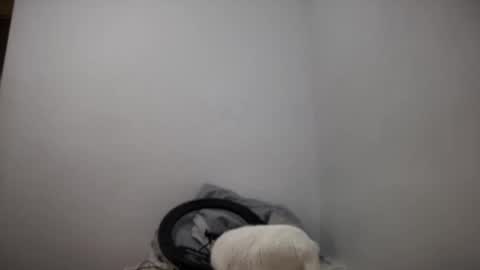 rosea_lune online show from September 16, 2025, 4:41 pm