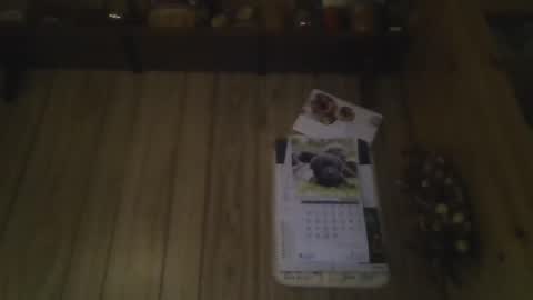 Snapshot of roses2u1958 chatting on January 1, 2025, 8:04 pm roses2u1958 online show from January 1, 2025, 8:04 pm