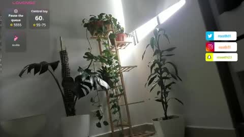 Im Ross   online show from April 5, 2026, 5:32 pm