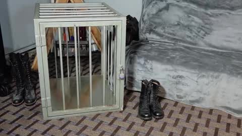 Snapshot of roughnbootz chatting on February 4, 2025, 3:11 am RoughnBootz online show from February 4, 2025, 3:11 am