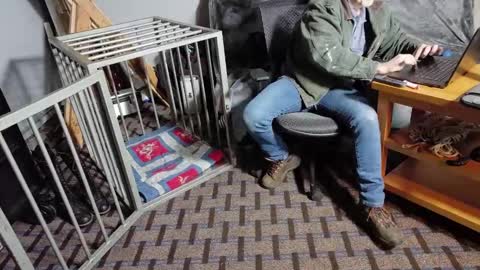 Snapshot of roughnbootz chatting on February 6, 2025, 11:37 pm RoughnBootz online show from February 6, 2025, 11:37 pm