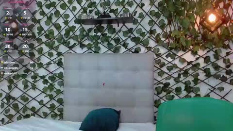 Snapshot of rous_55 chatting on January 17, 2025, 9:17 am Rous online show from January 17, 2025, 9:17 am