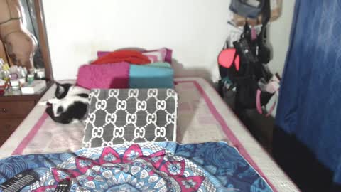 Snapshot of rousse_ellise1 chatting on December 29, 2024, 2:49 am rousse online show from December 29, 2024, 2:49 am