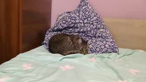 Snapshot of roxy_secrets chatting on January 16, 2025, 6:48 pm roxy secrets online show from January 16, 2025, 6:48 pm