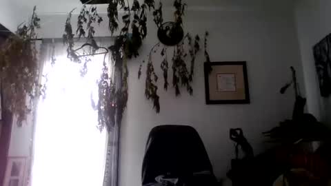 Snapshot of royboy2561 chatting on October 10, 2025, 8:08 pm Roy Murrin online show from October 10, 2025, 8:08 pm